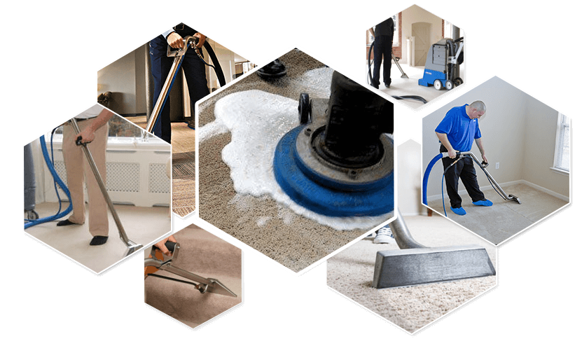 Premium carpet cleaning service